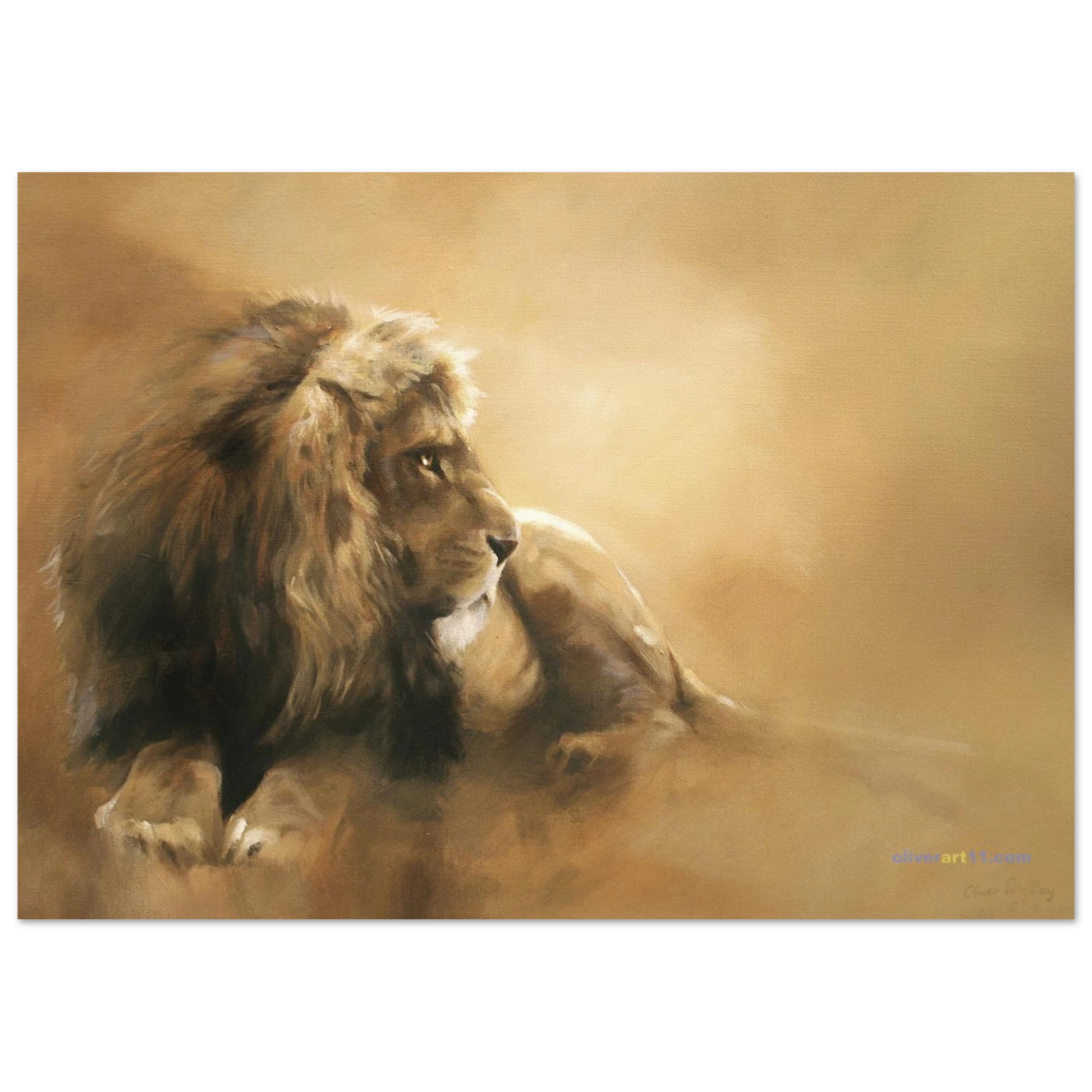 77e6dfe1-ef0f-4ed6-8959-d437953594c4